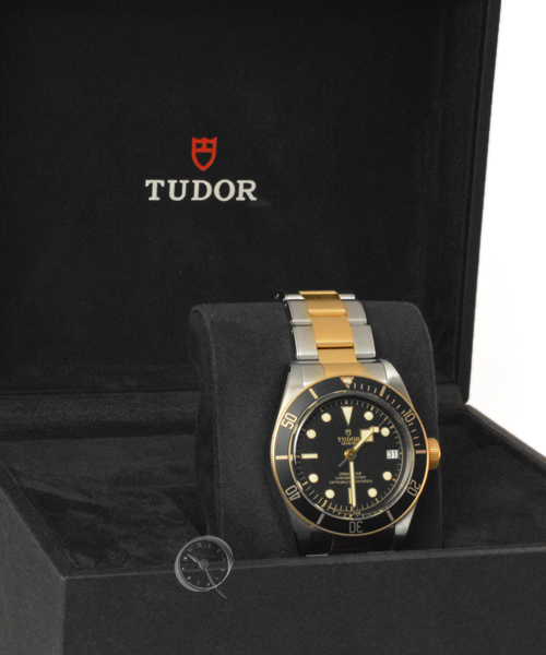 Tudor Black Bay S&G Ref. N79733N-0008